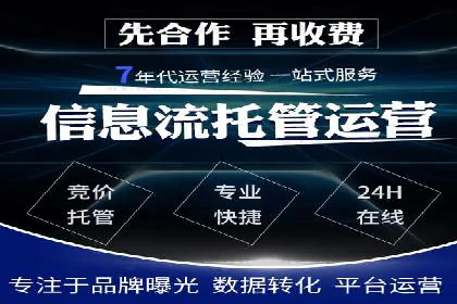 SEM搜索引擎优化：成功案例解析